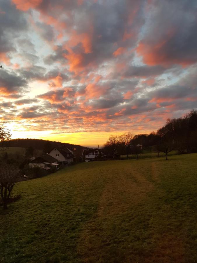 Ferienwohnung Tinas Beauty Neckarsteinach Kültér fotó