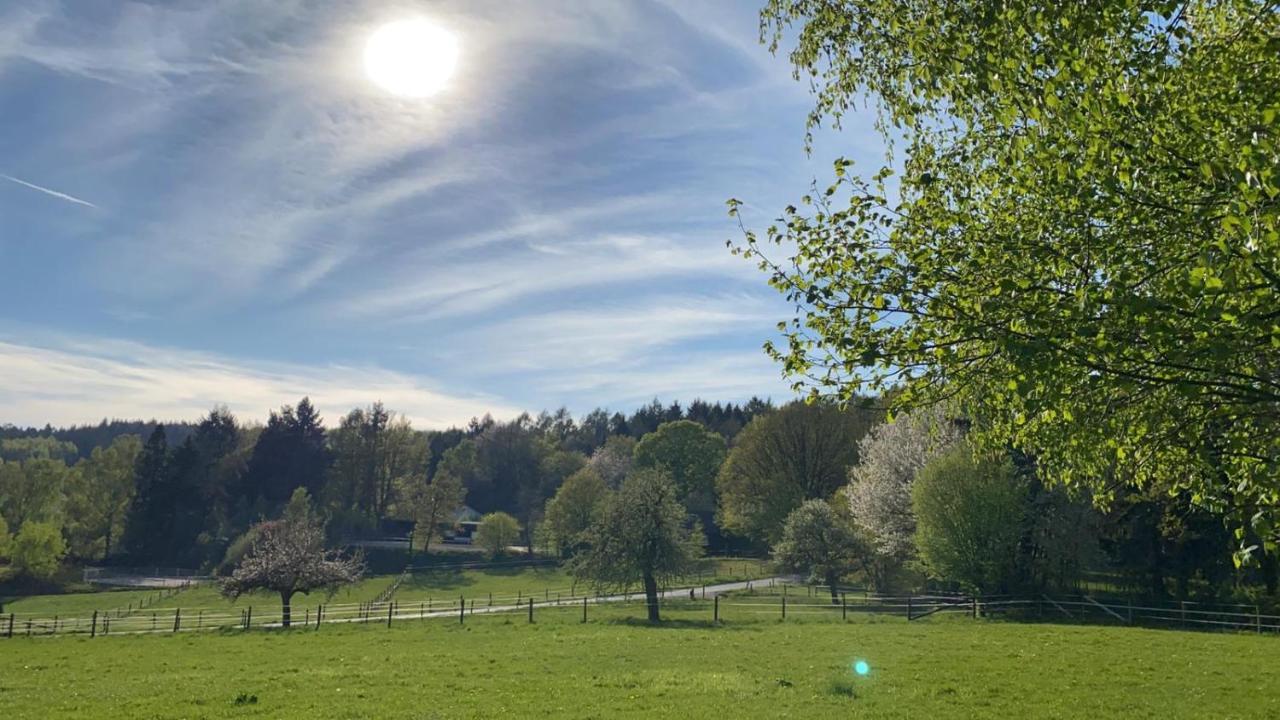 Ferienwohnung Tinas Beauty Neckarsteinach Kültér fotó
