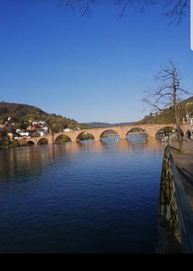 Ferienwohnung Tinas Beauty Neckarsteinach Kültér fotó