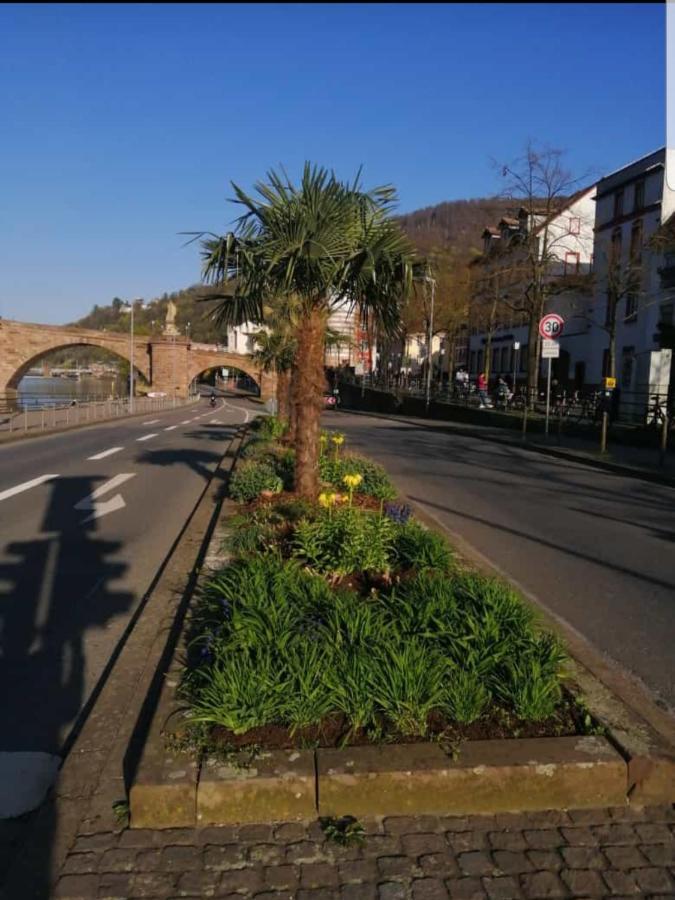 Ferienwohnung Tinas Beauty Neckarsteinach Kültér fotó