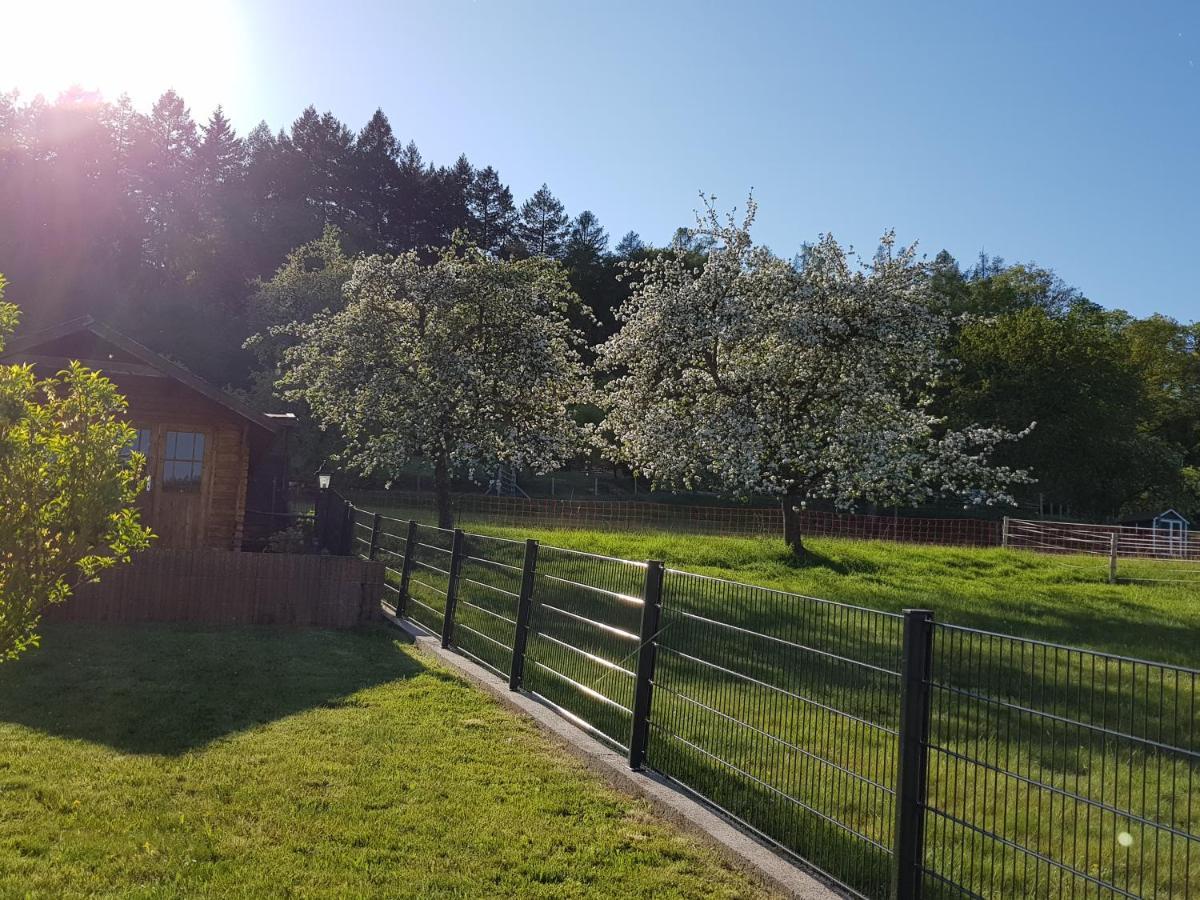 Ferienwohnung Tinas Beauty Neckarsteinach Kültér fotó