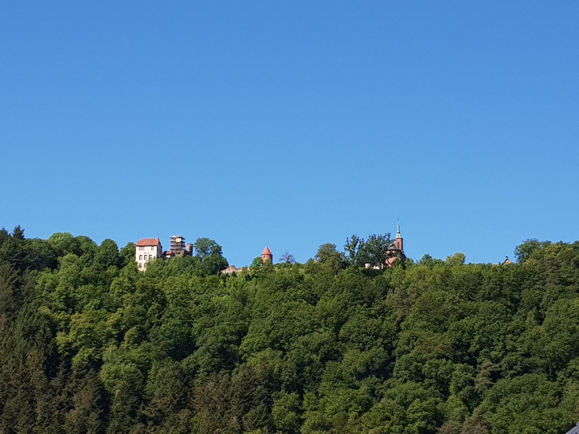 Ferienwohnung Tinas Beauty Neckarsteinach Kültér fotó