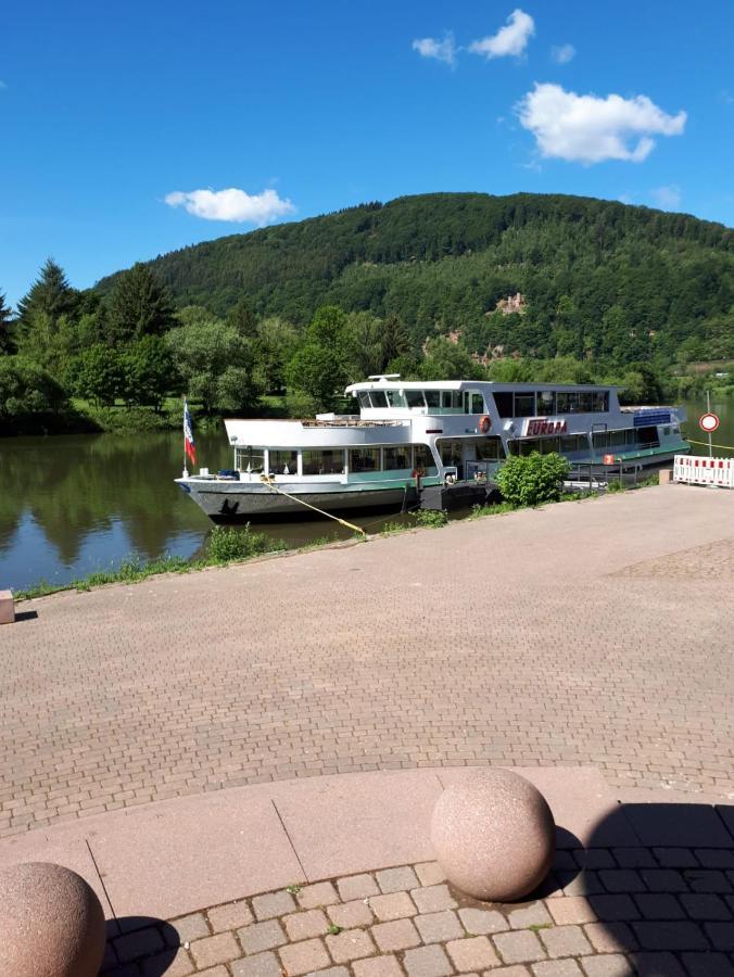 Ferienwohnung Tinas Beauty Neckarsteinach Kültér fotó