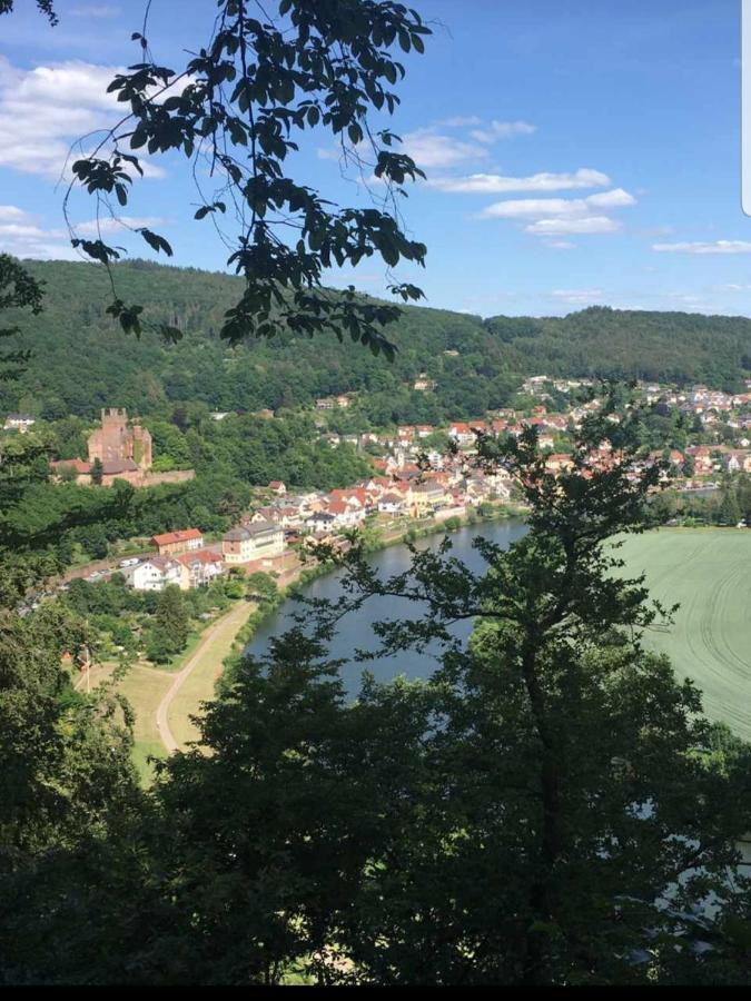 Ferienwohnung Tinas Beauty Neckarsteinach Kültér fotó
