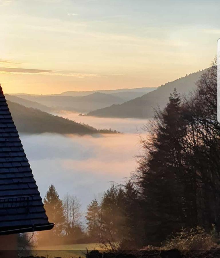 Ferienwohnung Tinas Beauty Neckarsteinach Kültér fotó