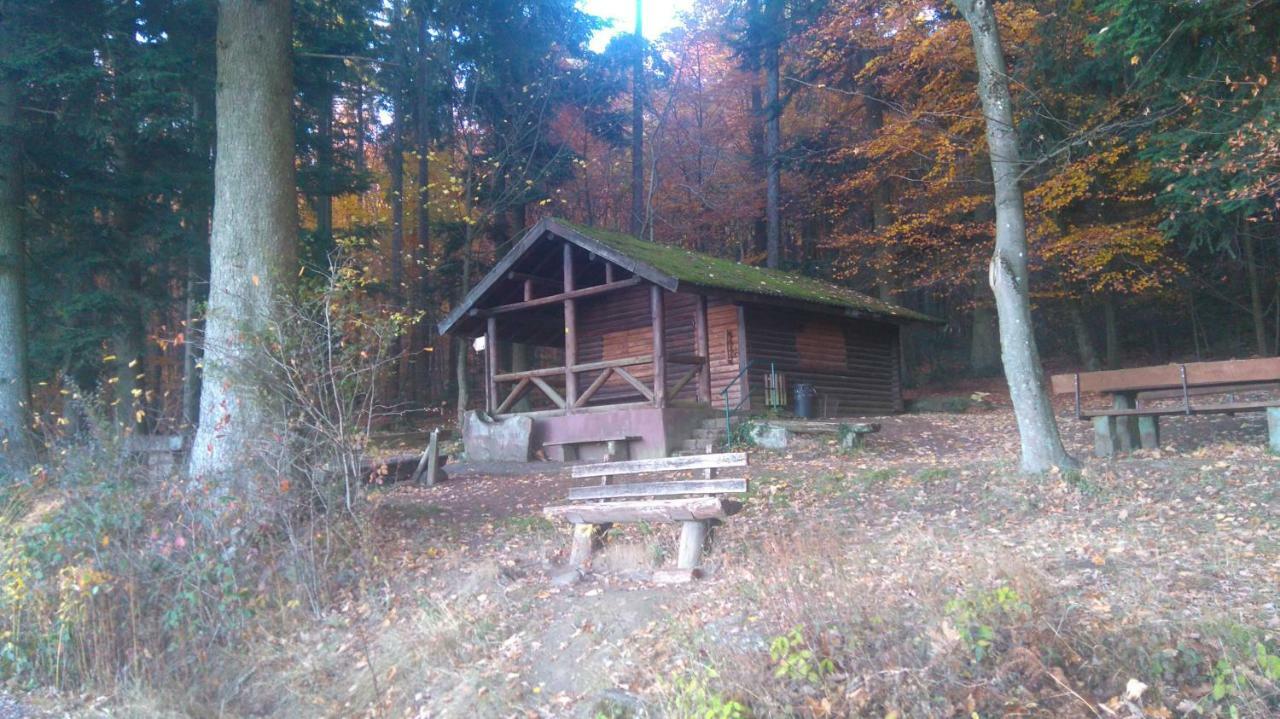 Ferienwohnung Tinas Beauty Neckarsteinach Kültér fotó