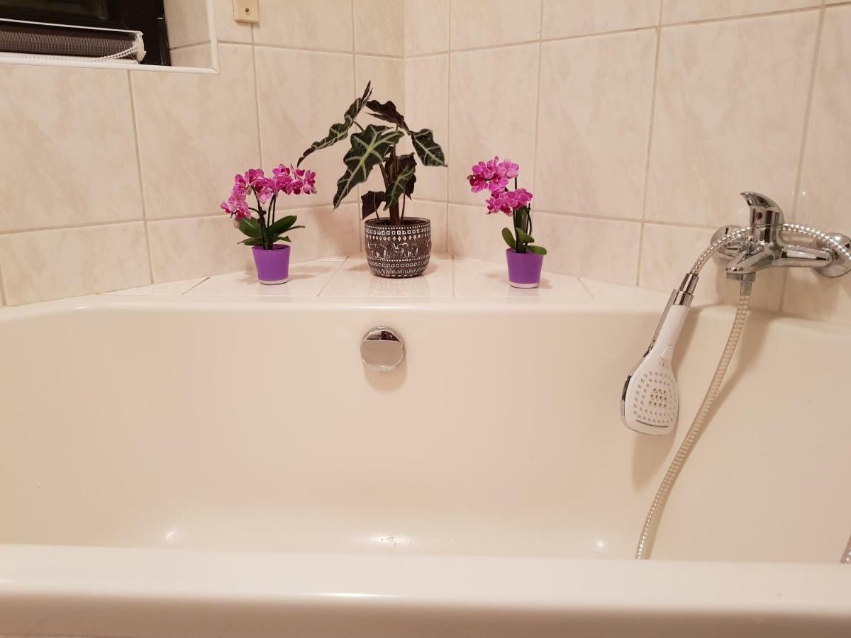 Ferienwohnung Tinas Beauty Neckarsteinach Kültér fotó