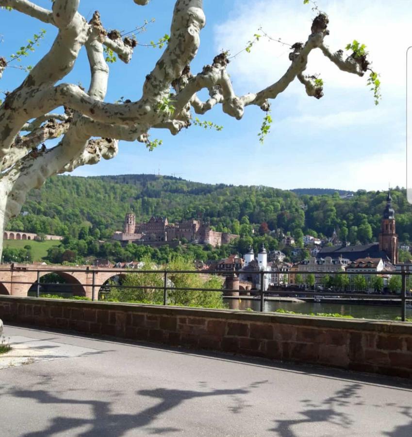 Ferienwohnung Tinas Beauty Neckarsteinach Kültér fotó