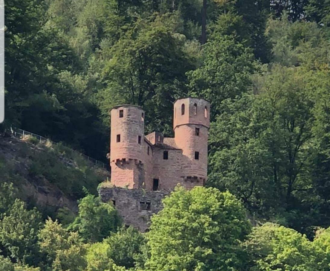 Ferienwohnung Tinas Beauty Neckarsteinach Kültér fotó