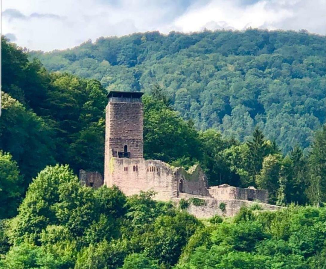Ferienwohnung Tinas Beauty Neckarsteinach Kültér fotó