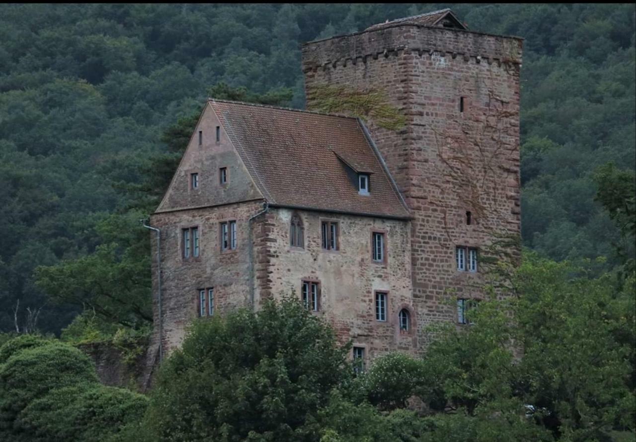 Ferienwohnung Tinas Beauty Neckarsteinach Kültér fotó